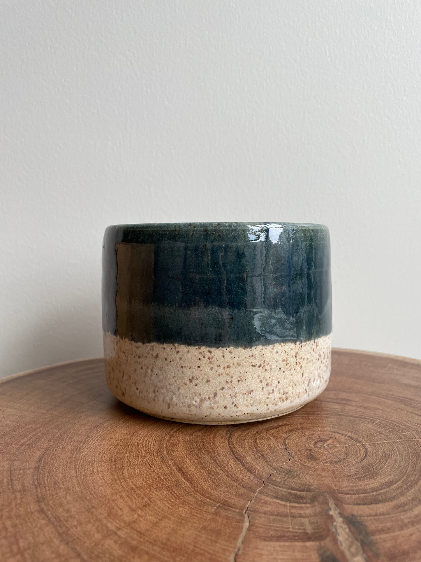 Blue Speckled Pot